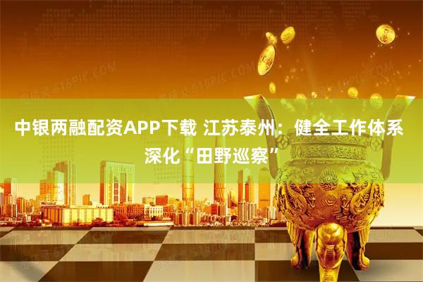 中银两融配资APP下载 江苏泰州：健全工作体系 深化“田野巡察”