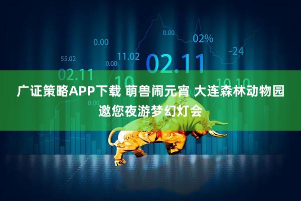广证策略APP下载 萌兽闹元宵 大连森林动物园邀您夜游梦幻灯会
