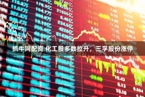 抓牛网配资 化工股多数拉升,三孚股份涨停